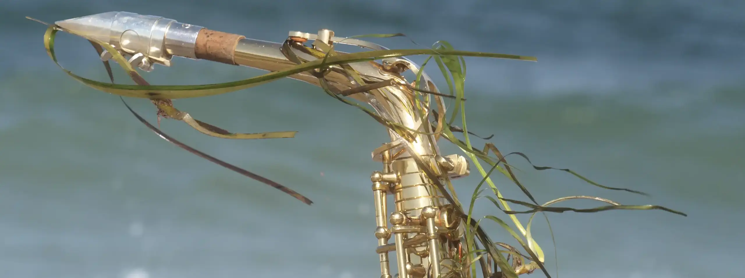 Saxofon Workshop auf Sardinien // 12.-19. September 2026