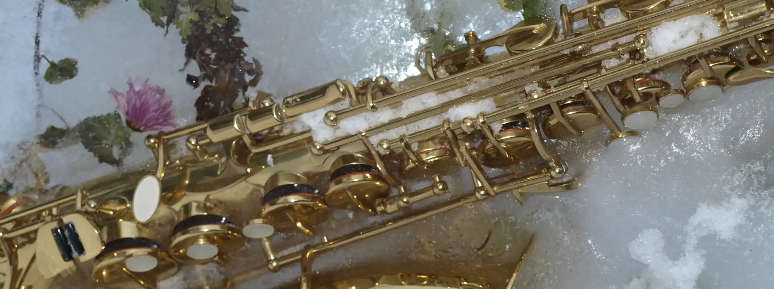 Workshop Jazz- & Pop-Standard mit Live-Band // 18.-19. April 2026 Workshop Jazz- & Pop-Standard mit Live-Band // 18.-19. April 2026